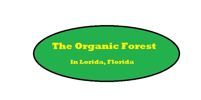 The Organic Forest